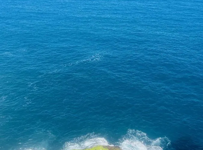 Sea Lover's Nest 로스 레알레호스